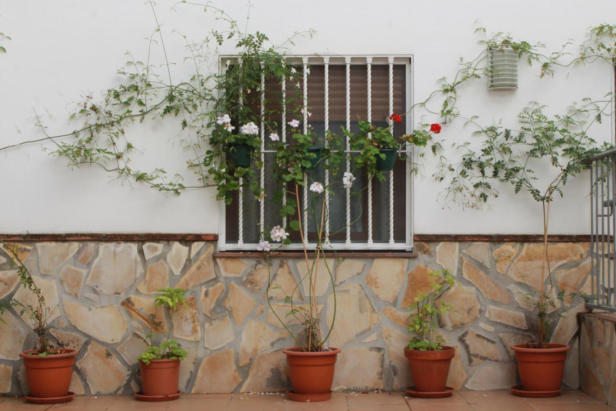 Appartement Casa Secreta Vélez-Málaga centro Extérieur photo