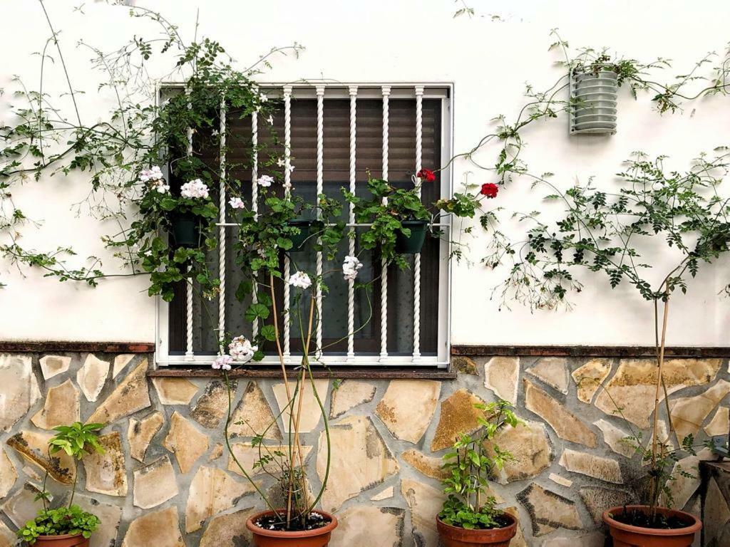 Appartement Casa Secreta Vélez-Málaga centro Extérieur photo